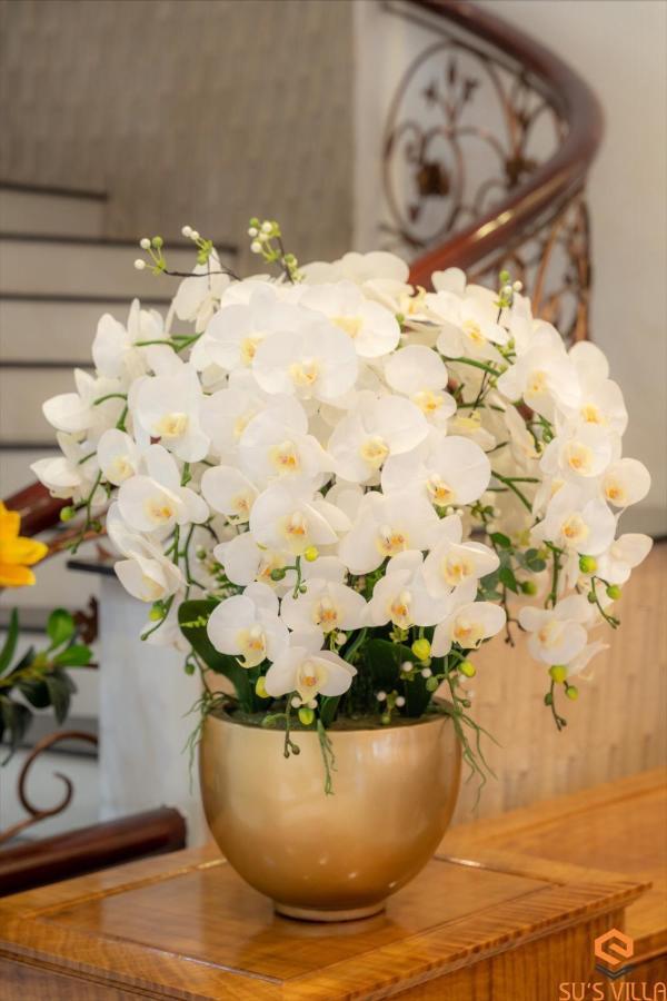 Su's Villa Hà Giang Ngoại thất bức ảnh
